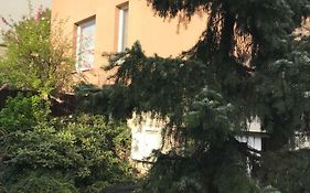 Secret Garden By Arder